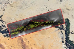 Ein digitales Geländemodell zeigt die tiefsten Stellen des Flusses und wie Kameldornbäume (rot) und Anabäume (gelb) im entlang des Flusses wachsen